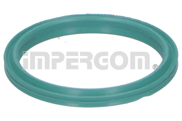 Seal Ring, charge air hose
